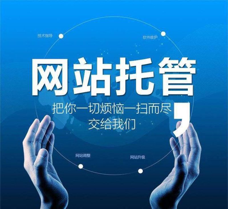站群程序出售市场洞察与新策略